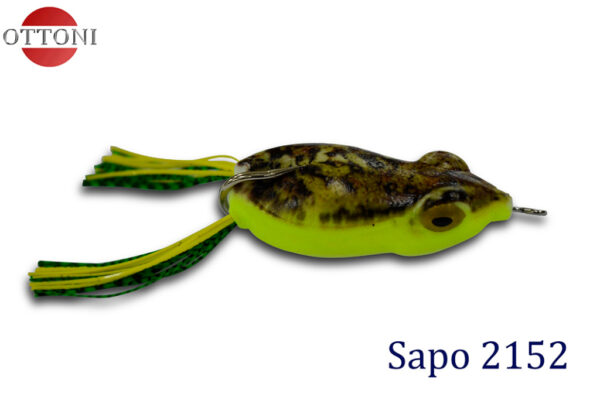 Sapo 2152