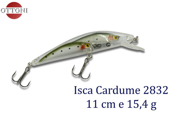 Isca Cardume 2832