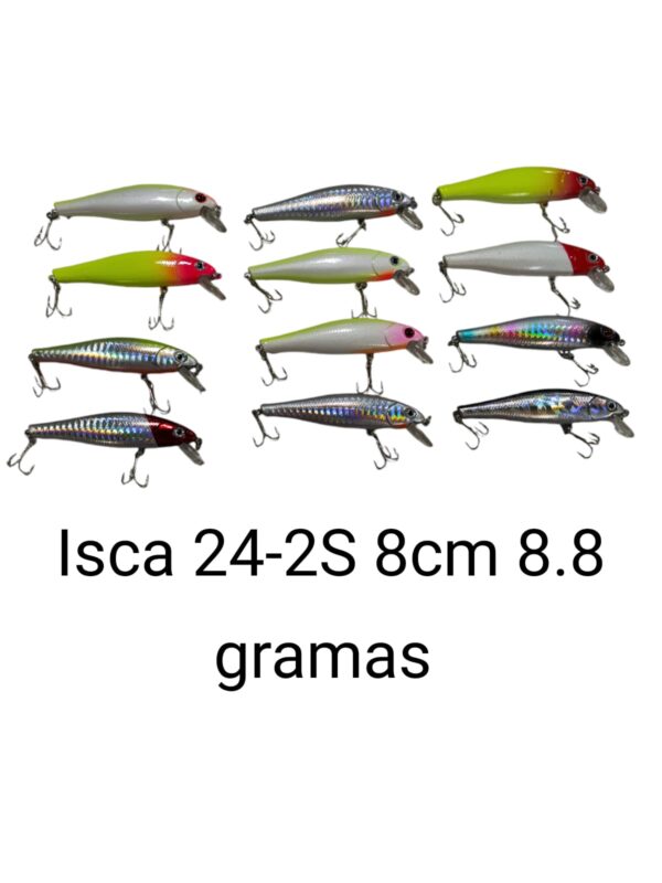 Isca 24-2S