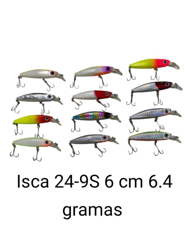 Isca 24-9S