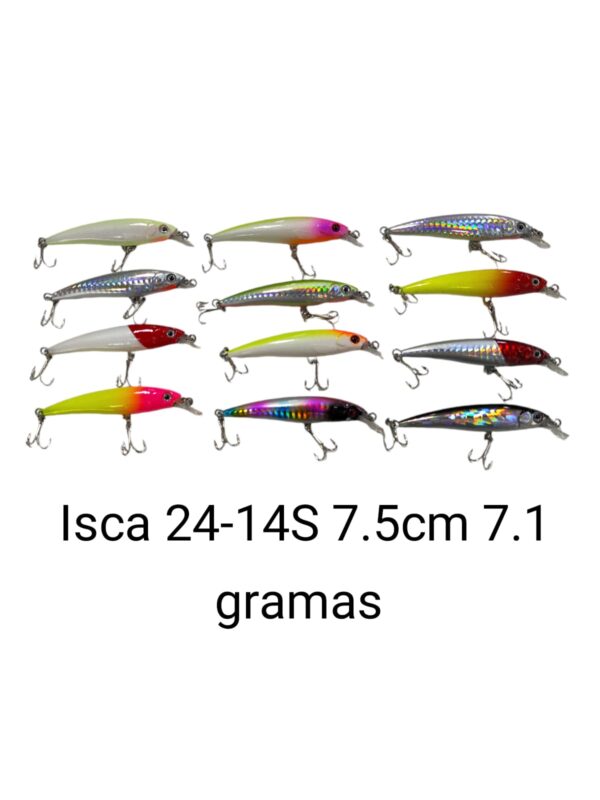 Isca 24-14S