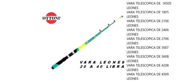 Vara Leones - Image 2